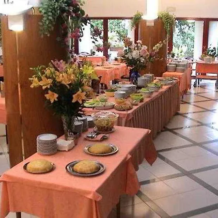 Hotel Angiolino 